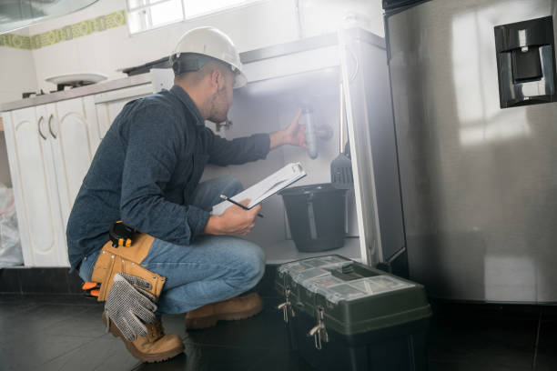 Best Affordable Plumbing Services  in Sidney, IL