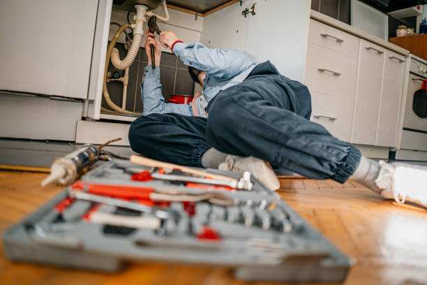 Best Leak Detection Services  in Sidney, IL