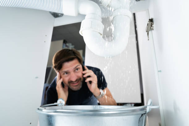 Best Emergency Plumber  in Sidney, IL