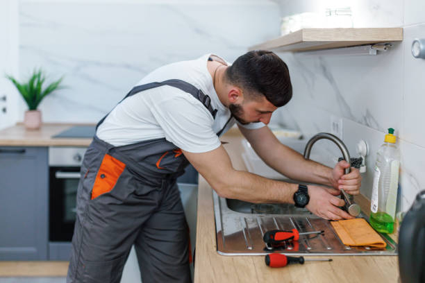 Best Water Softener Installation  in Sidney, IL