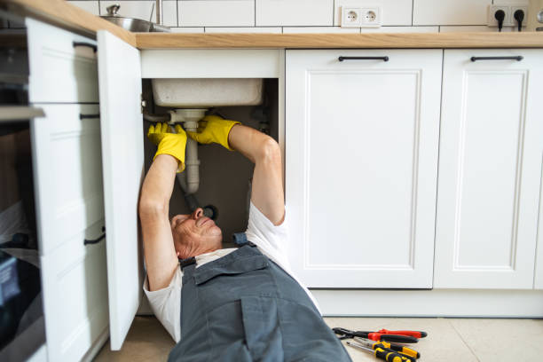 Best 24-Hour Plumber Near Me  in Sidney, IL