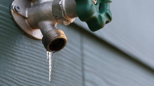 Best Septic Systems  in Sidney, IL